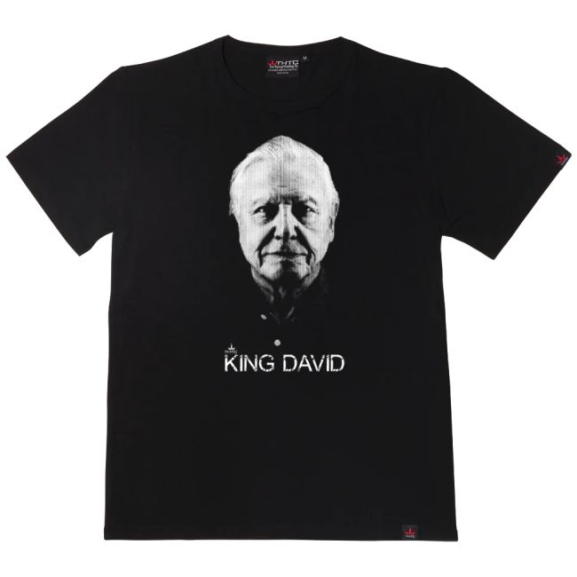 THTC - King David Hemp T-Shirt